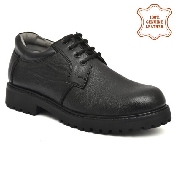 Steel toe Shoes For Men