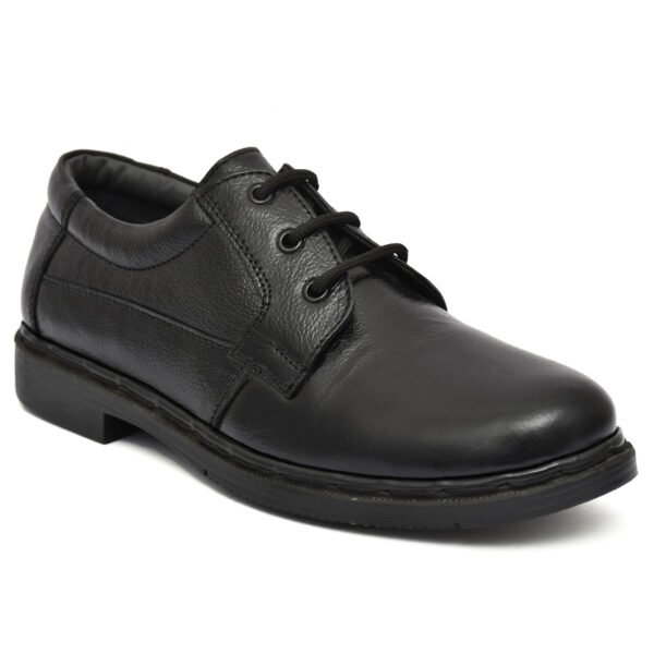 Black Formal Shoes – Men's Leather Derby Lace-Up Shoes for Office & Events | Pillaa