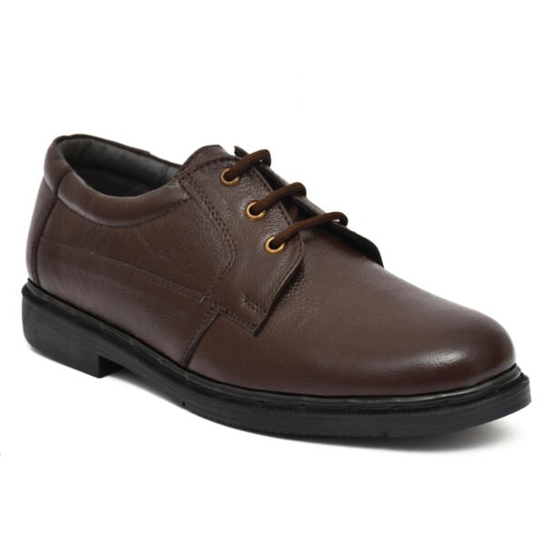 Formal Men Brown Shoes – Leather Derby Lace-Up Footwear for Office & Events | Pillaa